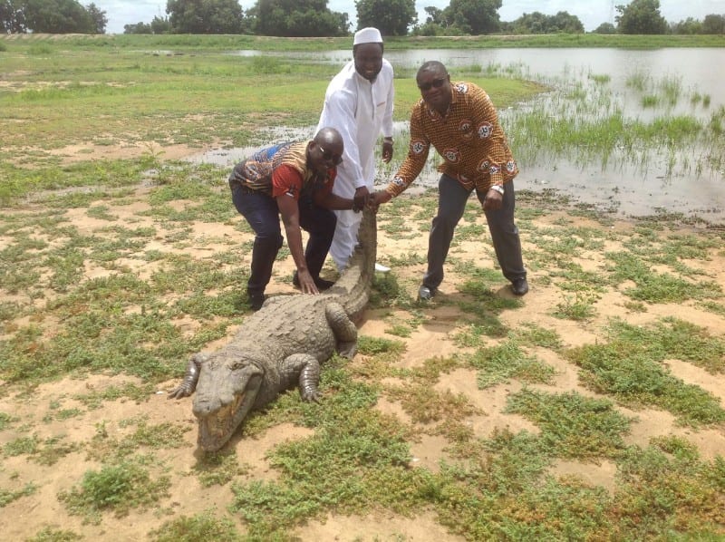 Visit Ghana - Paga Slave Camp and Crocodile Pool