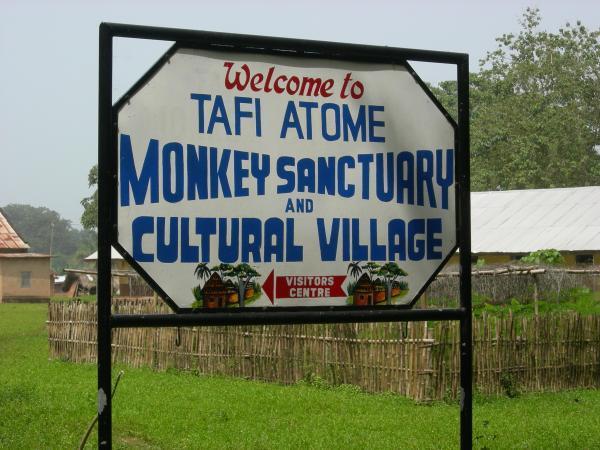 Visit Ghana - Tafi-Atome Monkey Sanctuary