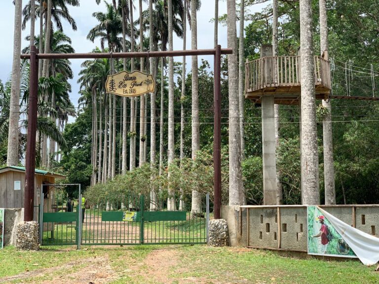 Eco Tourism Archives - Visit Ghana