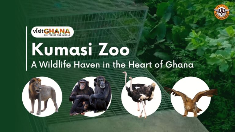 WIldLife Zoo Kumasi 1 768x432