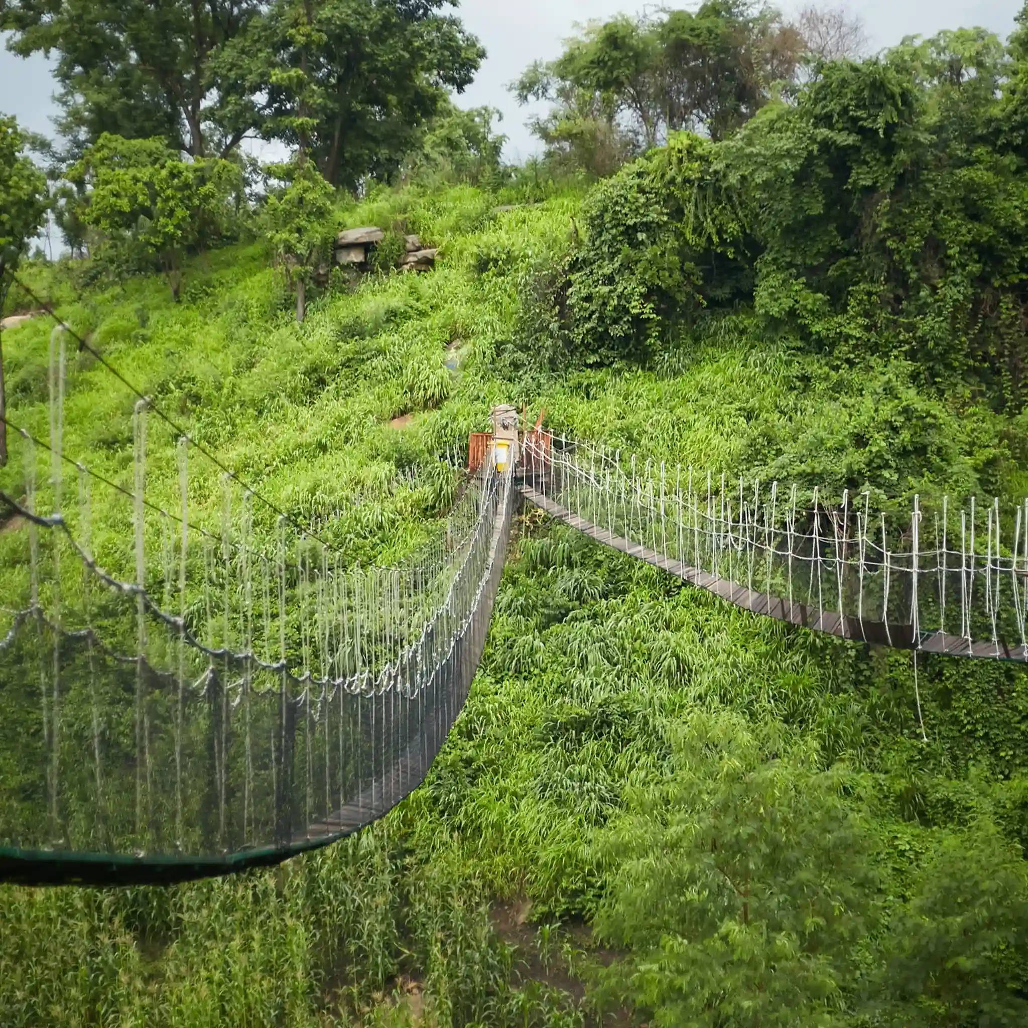 2Feast_-52-scaled_11zon